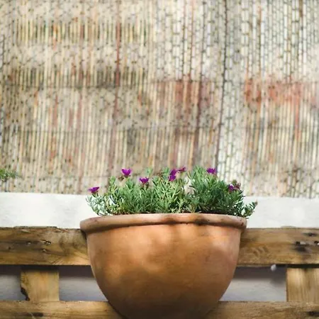 Apartamento Charming In The Centre With Garden Lisboa